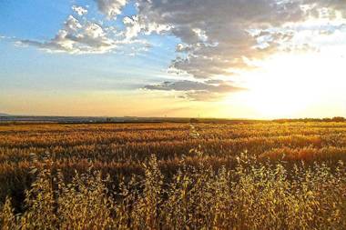 HOTEL RURAL ORELLANA
