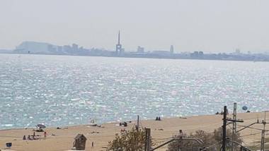 Lydia's Port Nautic & Beach