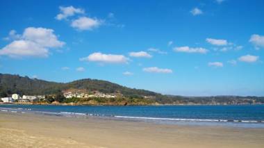 Duerming Park Viveiro