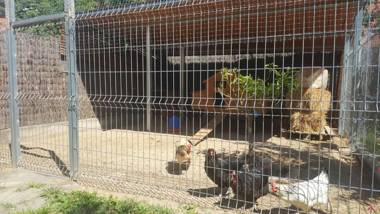 Rincón de piedra BCN