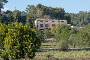 Finca Son Cladera