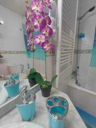 Guest House B&B with Private Rooms Inca Center