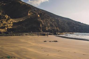 Aloe Vera Shared House