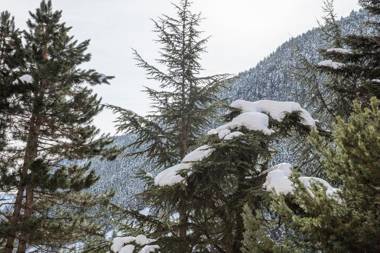 Apartamento Renovado Baqueira 1500