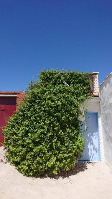 Mirador Del Vallejuelo