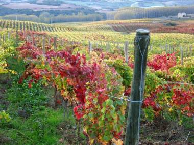 Hostal Rural Txapi Txuri Logis Hotels