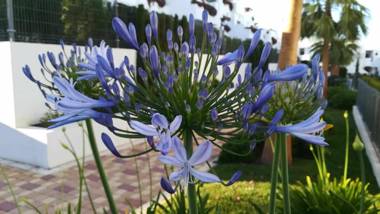 Agapanthus apartamento con terraza y piscina comunitaria
