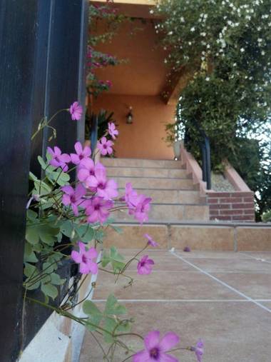 Full rental or by areas. Barbecue Gardens Large Terraces Three rooms