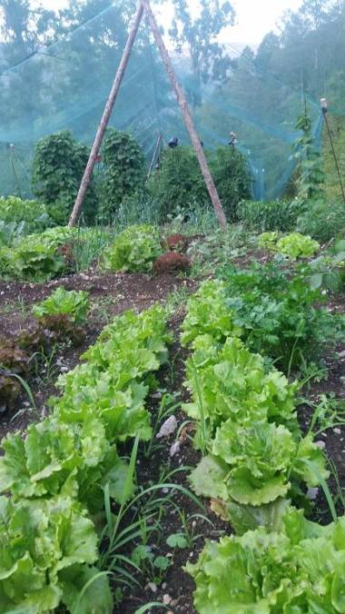 Casa Rural Molí de Fòrnols