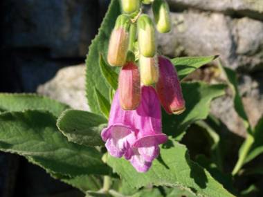 La Posada de Grimaldo