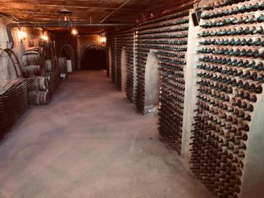 CASA TURÍSTICA Villa Carmen CON CHIMENEA AMPLIA ZONA DE JARDÍN BARBACOA PISCINA Y GARAJE