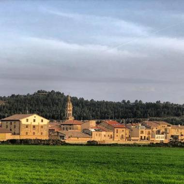 Apartamentos Antonia