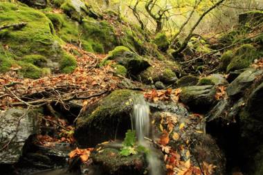 Casa rural El Abejaruco