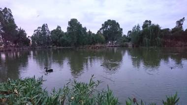 Hostal Restaurante Rufino