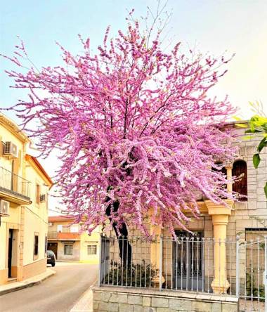 Casa Rural La Salamandrija