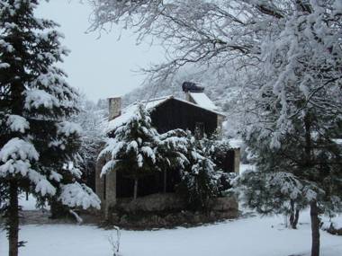 Alojamientos Turisticos La Utrera