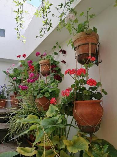 Balcón del Velillos-"Rincón de Marcelo"