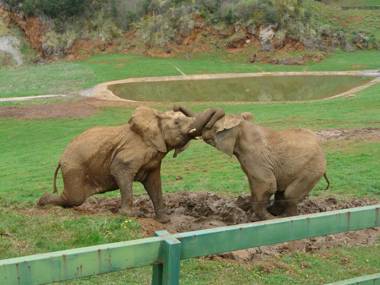 Posada la Vieja Escuela
