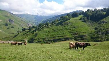 Cabañas con Encanto