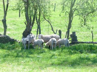 Hotel Rural - La Osa Mayor - 4 Estrellas