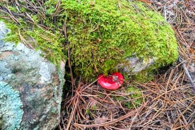 2 bedrooms house with wifi at Beamud