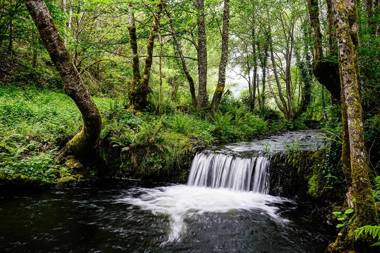 Casa Freixe Apartamentos Rurales