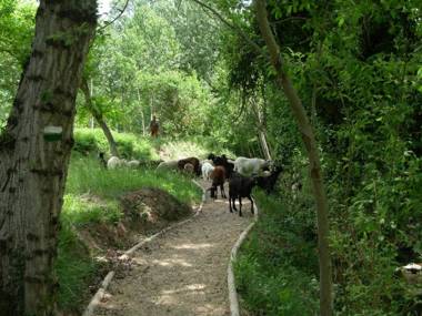 Apartamentos Rurales El Palomar