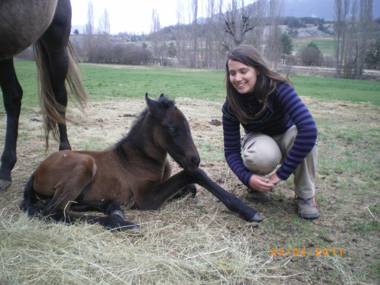 Albergue Casa Fumenal