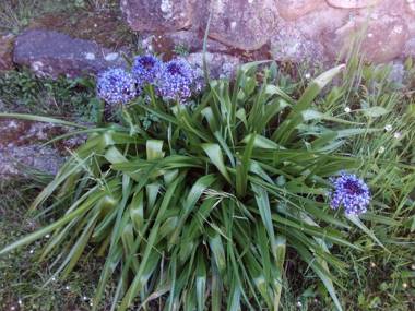 Posada Montero de la Concha