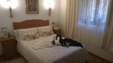 Casas Rurales el Olmo