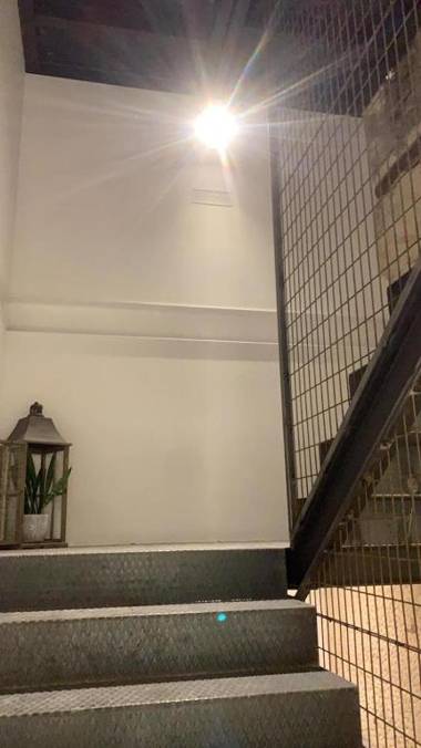 AZ The Botanic Hostel