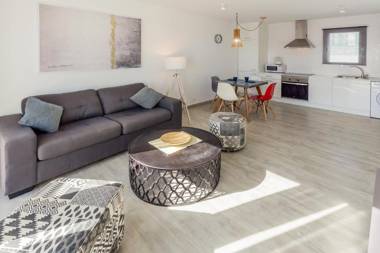 Conylanza Tabayba Blue