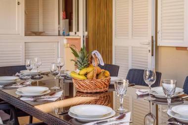 Estrella de mar verde