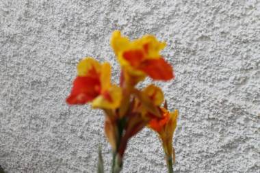 Apartamentos Buenavista