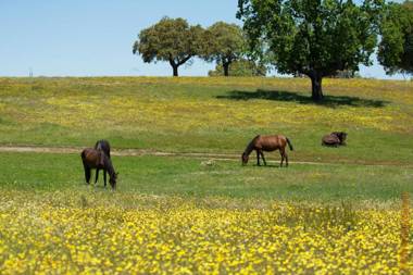 Campanarios de Azaba