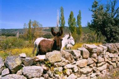 Casa Rural Menta y Canela