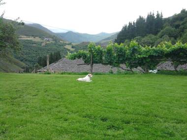 Apartamentos El Valledor