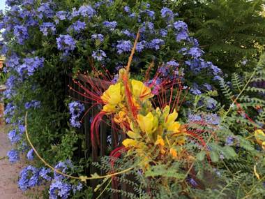 Sonniges Apartment an der Costa Blanca