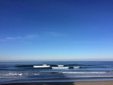 Alamar Salinas House