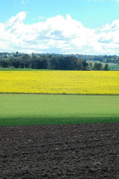 Alberg 'Casa i Colla'