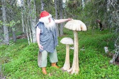 Hotel Taivaanvalkeat