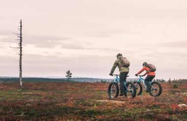 Lapland Hotels Pallas