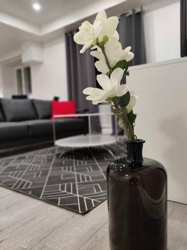 Alexi Apartments - Newly Renovated Apt in the Heart of the City near to Railway Station and Nokia Arena