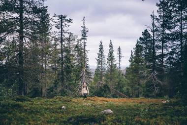Lapland Hotels Sirkantähti