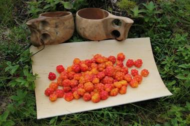 Holiday Village Nuorgamin Lomakeskus