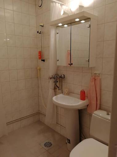 Scandinavian Sun Apartment