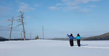 Wilderness Hotel Inari & Igloos