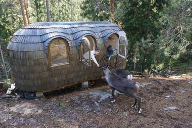 Igluhut – Sleep with reindeer