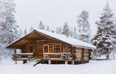 Arctic Log Cabins