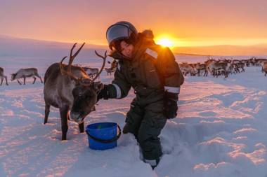 Arctic Land Adventure Glass Igloos